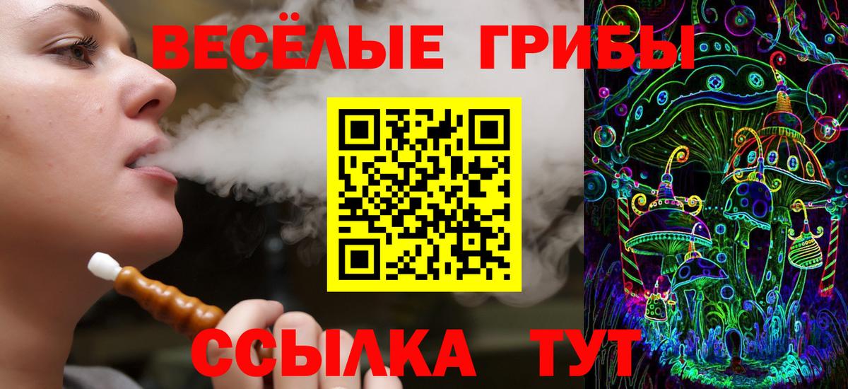 Псилоцибиновые грибы Cubensis  Псилоцибиновые грибы MAGIC MUSHROOMS  Кстово  Вход с VPN 